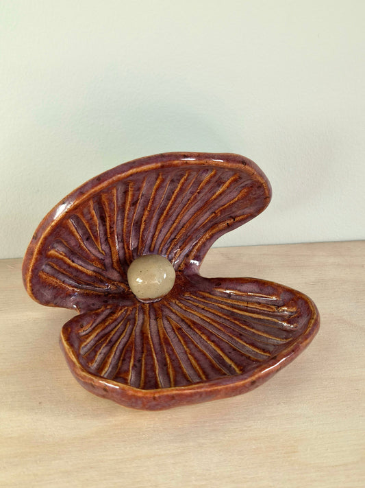 Schelp schaaltje