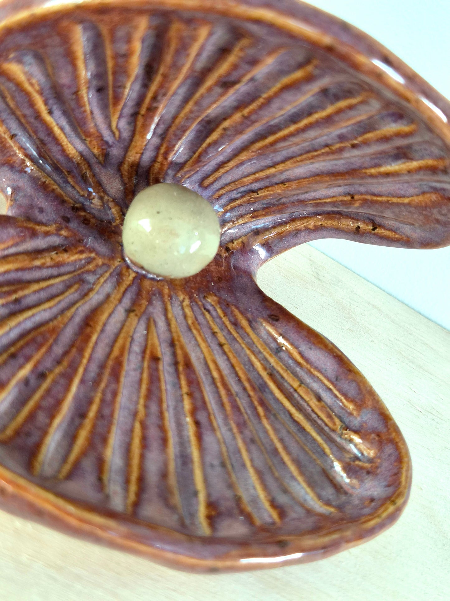 Schelp schaaltje